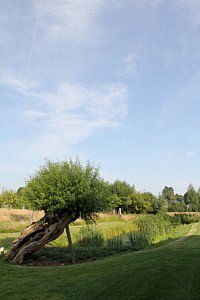 De_Cuyper_Chic_Gardens