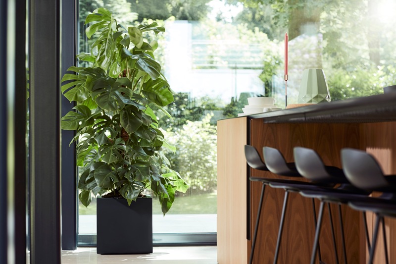 kubusvormen plantenbakken pottencollectie vivo Elho modern design groen plant pot tuin stijlvol chique inspiratie inspireren basiskleuren luxe tuininrichting outdoor design lifestyle buitenmeubelen Lotte de Vries woonkamer binnen buiten idee afwisseling wieltjes assortiment Chic Gardens bloemen