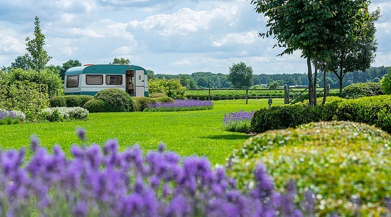 Ken Verelst tuinarchitectuur tuinarchitect tuinontwerp tekenaar tuinidee tuinrealisaties tuinprojecten tuinreportage droomtuinen exclusieve tuinen luxetuinen villatuinen zwembad zwemvijvers tuinaannemers plannen planten bloemen tuinen groensector natuur totaalprojecten groenbeleving outdoor living outdoor design magazine chic gardens tijdschrift tuinen tuinliefhebbers tuinbeleving