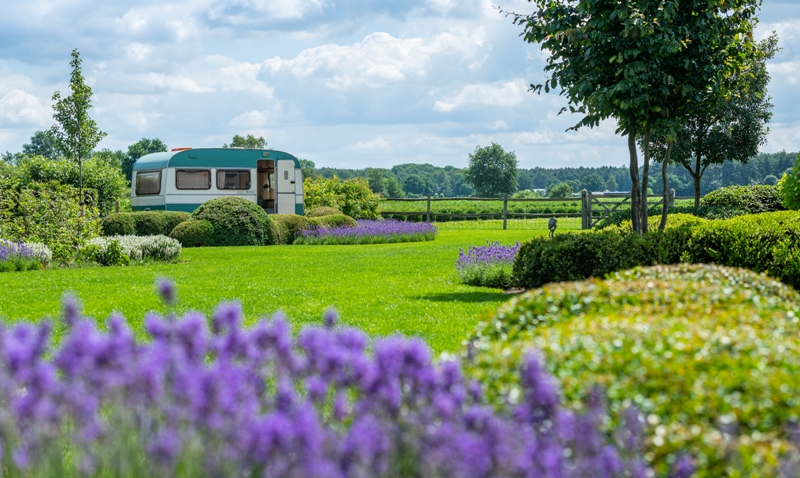 Ken Verelst tuinarchitectuur tuinarchitect tuinontwerp tekenaar tuinidee tuinrealisaties tuinprojecten tuinreportage droomtuinen exclusieve tuinen luxetuinen villatuinen zwembad zwemvijvers tuinaannemers plannen planten bloemen tuinen groensector natuur totaalprojecten groenbeleving outdoor living outdoor design magazine chic gardens tijdschrift tuinen tuinliefhebbers tuinbeleving