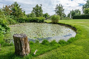 Tuinen Hoornaert magazine chic gardens tuinaanlegger tuinontwerper tuinarchitect architectuur tuinen exclusief luxe villatuin Deinze Wontergem info tuininspiratie chique tuintips beleving tuinonderhoud tuinprojecten tuinreportages tuinmagazine tijdschrift luxe tuinen moderne tuin tuinfirma tuinmeubels tuinverlichting illustratietuin wedstrijd de vlaamse tuinaannemer winnaar bekroonde tuin voortuin zwembad zwemvijver vijver planten bloemen bomen schaduwtuin Tuinen Hoornaert magazine tijdschrift Chic Gardens
