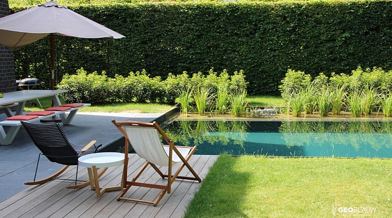 Geoblauw ecozwembad ecozwembaden zwembaden zwemvijvers zwemplezier zwemmen tuin nieuw chloor nadelen geen chemische producten natuur natuurlijk exclusieve tuinen villatuinen zuiver water ecologisch biologisch voordelen lifestyle outdoor living outdoor design trends planten filteren zwembad chloorzwembad vormgeving waterplanten advies inspiratie tips magazine belgie belgisch chic gardens