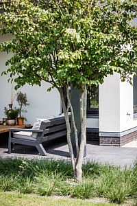 Meker tuinen Nederland totaalproject tuinproject tuinen exclusief luxe natuurlijke omgeving buitenkeuken tuininspiratie tuinontwerp tuinaanleg droomtuinen tuinideeën tuinmeubilair tuinmeubelen plantenpotten speelhut voor kinderen kindvriendelijke tuin barbecue outdoor living buitenruimte tuinarchitectuur tuinen lifestyle chique speelhuis boomhut magazine Chic Gardens