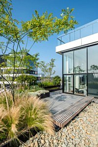 Dakterras Puur Groen daktuinen daken tuinen exclusief nieuw België stad stadsgroen appartementen tuininspiratie liefhebbers architectuur tuinarchitectuur outdoor living buitenruimte sfeervol luxe bloemen planten Jan Nickmans tuinaanlegger penthouse tuintontwerp magazine Chic Gardens