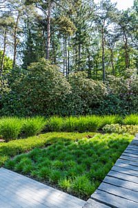 BaLu Gardens buitenruimtes tuinarchitectuur tuinarchitect interieurarchitect tuinen buitenleven stijlvol luxe exclusieve tuinen architectuur bart de backer luc van laere planten bloemen tuinaanleg tuinontwerp visie werkwijze tuinidee tuininspiratie chic gardens belgisch magazine