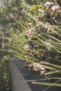 chic gardens magazine outdoor living outdoor design dakterras lifestyle tuinarchitectuur zicht op zee Belgische kust project Transformatie van een bestaand dak - project door Atelier Artisjok inspiratie luxe exclusieve tuinen terras buitenleven info tips stijlvol wonen tijdschrift lezen boekenshop tuinboeken