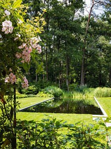 Ontdek de meest inspirerende zwemvijverprojecten van Cools tuinaanleg in Chic Gardens.