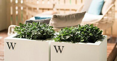 Chic Gardens, magazine voor outdoor living en outdoor design. Ontdek 7 bijzondere plantenpotten en plantenbakken voor jouw tuin en terras.