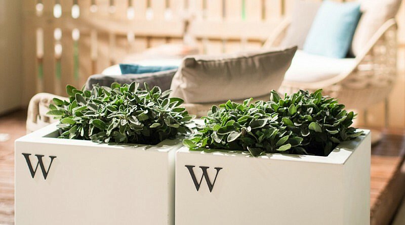 Chic Gardens, magazine voor outdoor living en outdoor design. Ontdek 7 bijzondere plantenpotten en plantenbakken voor jouw tuin en terras.