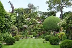 Chic Gardens magazine: Fotografe Véronique De Walsche neemt ons mee voor een wandeling door de tuin van topfchef Jan Van den Bon. Ze vertaalt wat ze ziet, ruikt en proeft in het prachtige boek 'Chefs en hun moestuin'.