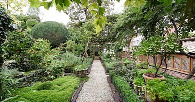 Chic Gardens magazine: Fotografe Véronique De Walsche neemt ons mee voor een wandeling door de tuin van topfchef Jan Van den Bon. Ze vertaalt wat ze ziet, ruikt en proeft in het prachtige boek 'Chefs en hun moestuin'.