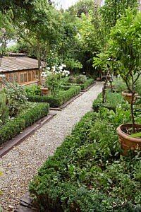 Chic Gardens magazine: Fotografe Véronique De Walsche neemt ons mee voor een wandeling door de tuin van topfchef Jan Van den Bon. Ze vertaalt wat ze ziet, ruikt en proeft in het prachtige boek 'Chefs en hun moestuin'.