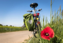 Chic Gardens, magazine voor outdoor living & design Floraliën verrast met De Groene Zesdaagse.