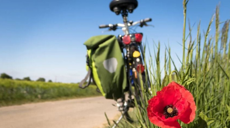 Chic Gardens, magazine voor outdoor living & design Floraliën verrast met De Groene Zesdaagse.