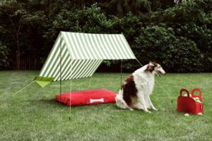 Chic Gardens: Beleef de perfecte zomer in de tuin met deze must-haves voor aan het zwembad.