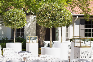 Chic Gardens: Op bezoek in het Lauretum van Jabbeke. Ontdek het nieuwe boek 'De laurier, het ganse jaar door'.
