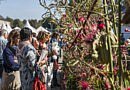 Chic Gardens magazine voor outdoor living: Bezoek het bloemenfestival Fleur Floral Fashion van 23 t.e.m. 27 september in Alden Biesen. Deze bloemenexpositie moet je gezien hebben als bloemenliefhebber!