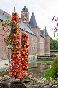 Chic Gardens: tentoonstelling Fleur Floral Fashion in de landcommanderij van Alden Biesen in Bilzen (Limburg)