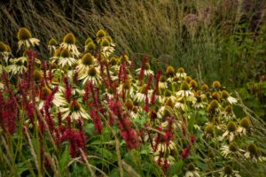 De nieuwe Chic Gardens najaar 2021 is er! Boordevol inspiratie voor je droomtuin. Met prachtige fotografie van exclusieve en unieke tuinen en buitenruimtes. En de laatste trends in buitenmeubels.