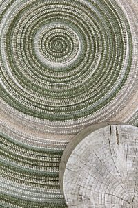 Ontdek de hoogstaande designtapijten van Limited Edition op de website van Chic Gardens.