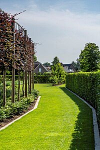 Moderne tuin met zwembad, poolhouse en daktuin door Groenbedrijf Van Vlierden