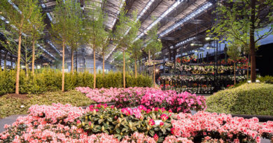 Floraliën Gent 2022