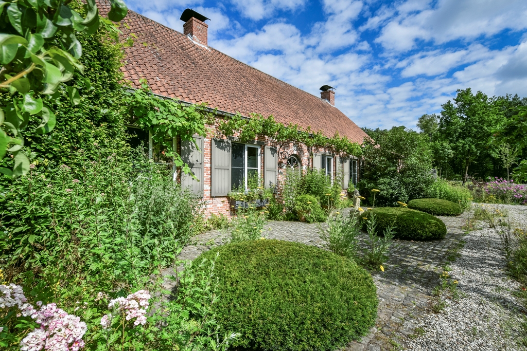 Tuininspiratie bij de winnende tuinen van de wedstrijd "De Vlaamse Tuinaannemer" 2022-2023.