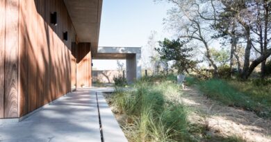 Charmante tuin tussen bos en kust door tuin- en landschapsarchitect Christoph Cobbaert