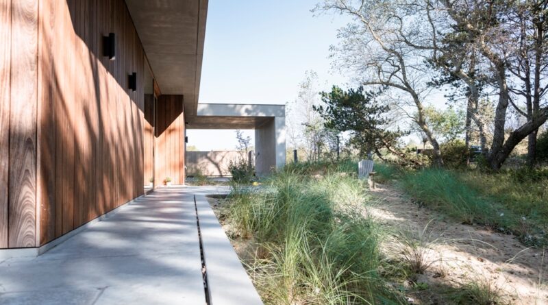Charmante tuin tussen bos en kust door tuin- en landschapsarchitect Christoph Cobbaert