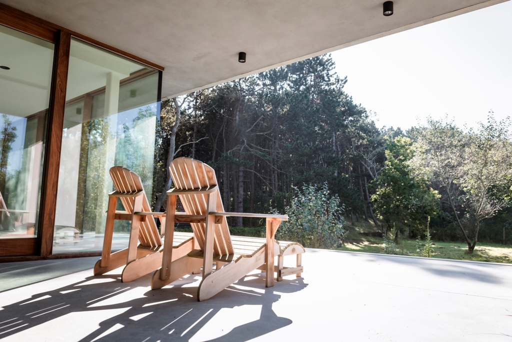 Charmante tuin tussen bos en kust door tuin- en landschapsarchitect Christoph Cobbaert