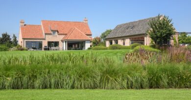 Landelijke tuin met rijke inheemse beplanting en een grote vijver door tuin- en landschapsarchitect Lieven Vereecke.