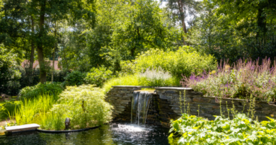 Natuurlijke tuin met zwemvijver op idyllische groene locatie. Realisatie door Cools Tuinaanleg & Zwemvijvers.