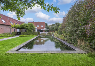 In deze weelderige tuin in Boutersem ontbrak een waterpartij, vonden de eigenaars. Tuinwerken Willemsens tekende hier een zwemvijver met een rechthoekige zwemzone - waar je vlot baantjes kan trekken - en een filterzone in vrije, organische vorm met onder meer waterlelies. De zwemvijver vormt de blikvanger van de tuin.