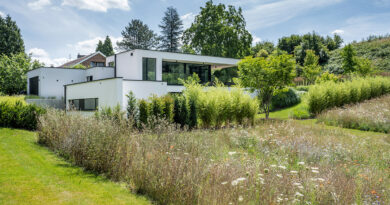 François Charlier en zijn team van tuinarchitecten zijn gespecialiseerd in het aanleggen van uitzonderlijke tuinen. Ze bieden een complete service en persoonlijke begeleiding om jouw droomtuin te realiseren.