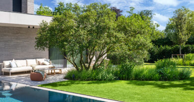 Bomen als sculpturen, bloemen als kleuraccent: ontdek deze tuin, gerealiseerd door Tuinen Devroe.