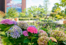 Houthavens Botanique, botanisch park in Amsterdam (Nederland)