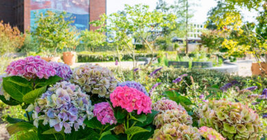 Houthavens Botanique, botanisch park in Amsterdam (Nederland)
